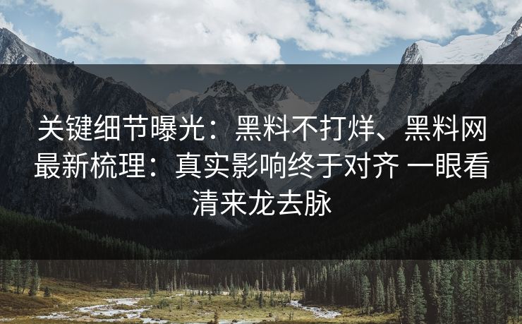 关键细节曝光：黑料不打烊、黑料网最新梳理：真实影响终于对齐 一眼看清来龙去脉