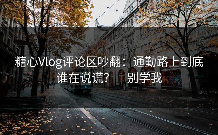 糖心Vlog评论区吵翻：通勤路上到底谁在说谎？｜别学我