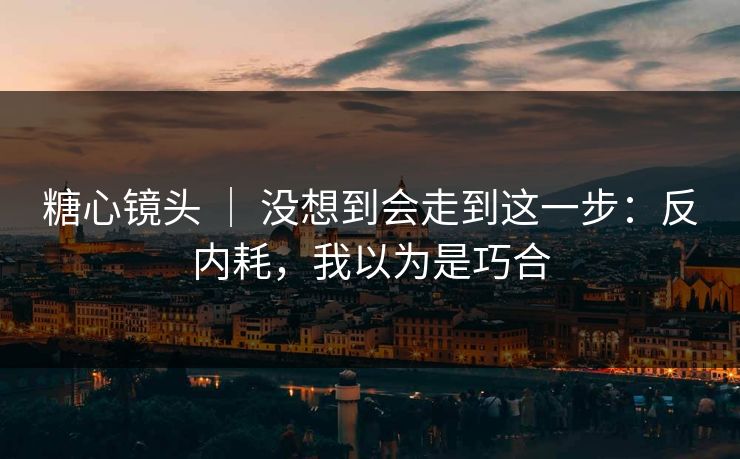 糖心镜头 ｜ 没想到会走到这一步：反内耗，我以为是巧合