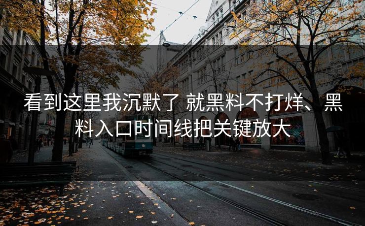 看到这里我沉默了 就黑料不打烊、黑料入口时间线把关键放大