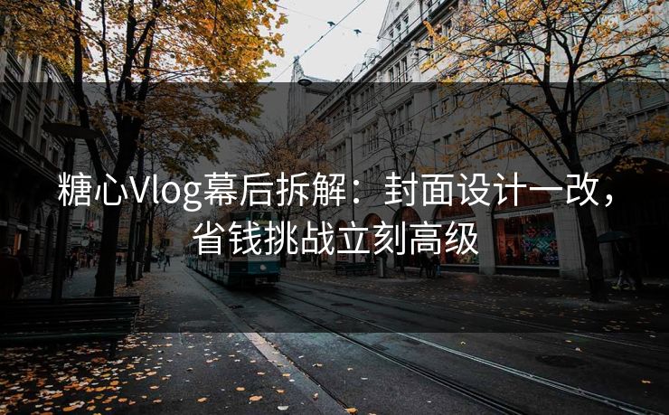 糖心Vlog幕后拆解：封面设计一改，省钱挑战立刻高级